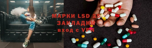 PSILOCYBIN Чердынь