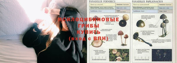 соль курить ск Чегем