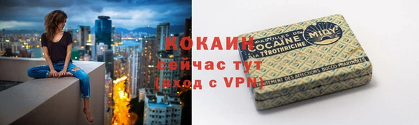 PSILOCYBIN Чердынь
