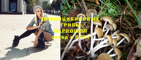 соль курить ск Чегем