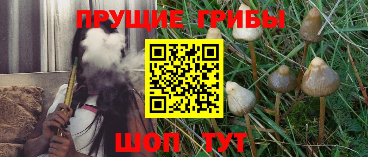 Симферополь  Галлюциногенные грибы прущие грибы  Вход с VPN 