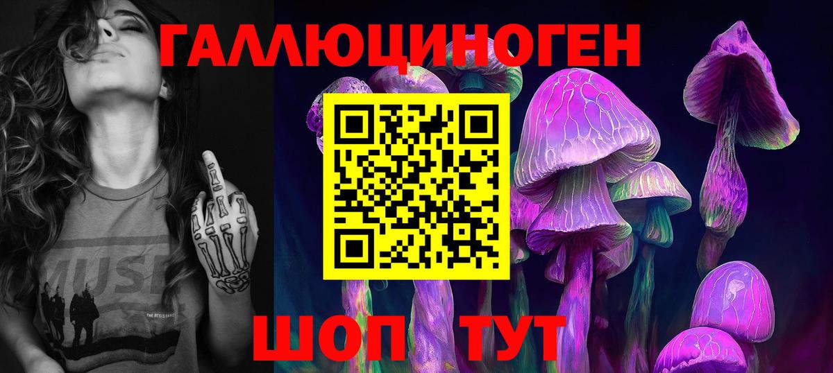 Псилоцибиновые грибы Psilocybe  Симферополь 